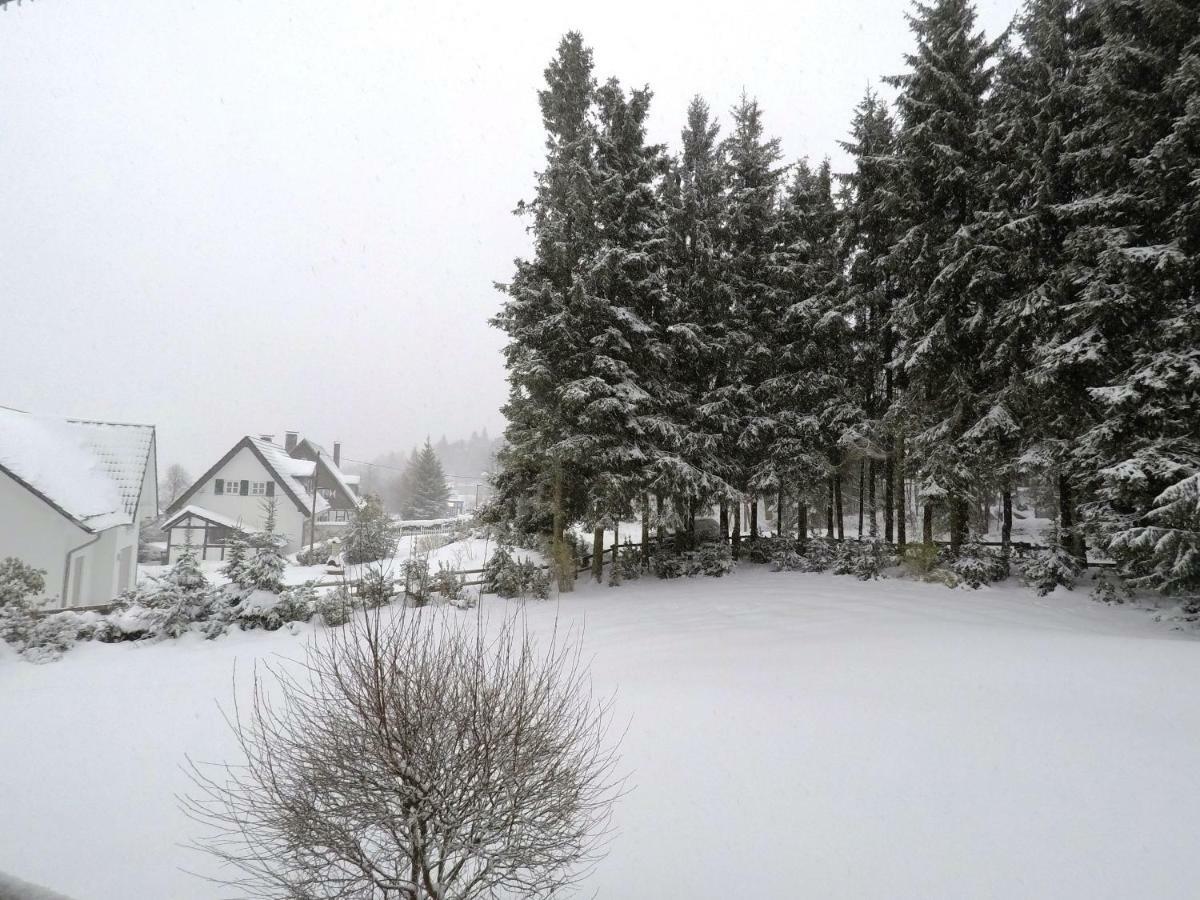 Fewo Kaeppchen Winterberg Eksteriør billede